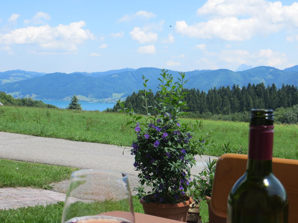 Ferienwohnung Brigitte Perner Nußdorf am Attersee Zewnętrze zdjęcie